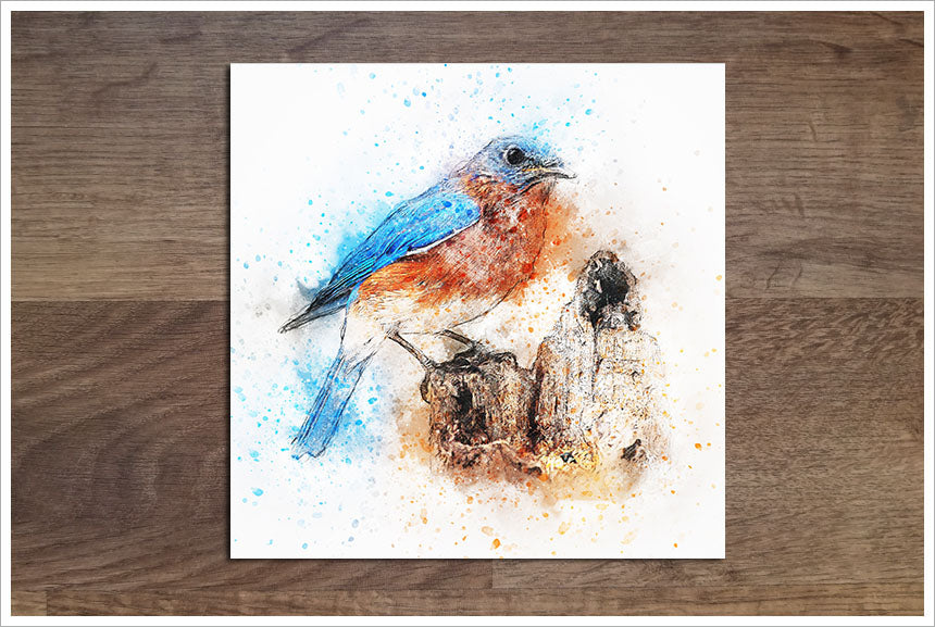 Blue Bird Watercolor - Accent Tile