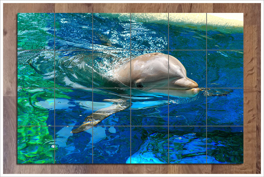 Top 10 Dolphin Photo Ceramic Tile Mural Kitchen Backsplash Bathroom good Shower ANY Indoor Wall: (12) Sizes Available