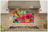 Pink & Yellow Hibiscus Flower -  Tile Mural