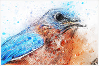 Blue Bird Watercolor -  Accent Tile