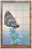 Butterfly on a Branch -  Tile Mural