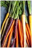 Carrots on a Tray -  Tile Mural