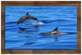 Swimming Dolphins -  Tile Mural