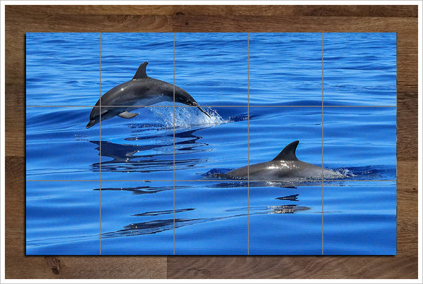 Swimming Dolphins -  Tile Mural