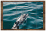 Swimming Dolphin -  Tile Mural