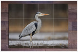 Gray Heron Crane -  Tile Mural