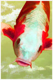 Koi Fish Carp Painting -  Tile Mural