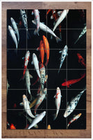 Koi Fish in Dark Water -  Tile Mural