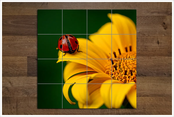 Lady Bug on Yellow Flower -  Tile Mural