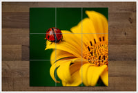 Lady Bug on Yellow Flower -  Tile Mural