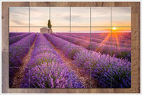 French Lavender Field -  Tile Mural