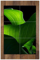 Leaves Abstract -  Tile Mural