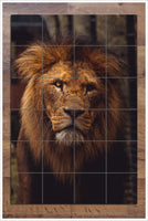 Lion 01 -  Tile Mural