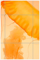 Orange Jellies -  Tile Mural
