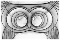 Pencil Sketch Owls 6 Designs -  Tile Border