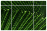Palm Fronds Abstract -  Tile Mural