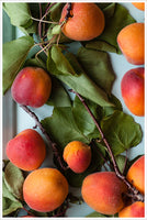 Peaches on a Tray -  Tile Mural