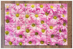 Pink Daisies -  Tile Mural