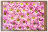 Pink Daisies -  Tile Mural