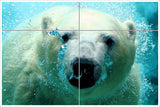 Polar Bear Swimming -  Tile Mural