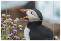 Puffins -  Tile Mural