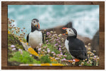 Puffins -  Tile Mural