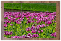 Purple Poppy Field -  Tile Mural