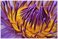 Purple Water Lily -  Tile Mural