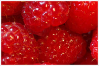 Raspberries -  Accent Tile
