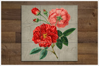 Vintage Rose Collage -  Tile Mural