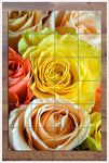 Roses Close Up -  Tile Mural