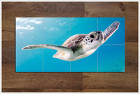 Sea Turtle Glide -  Tile Mural