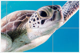 Sea Turtle Glide -  Tile Mural