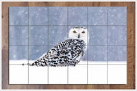 Snow Owl Resting -  Tile Mural