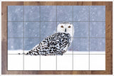 Snow Owl Resting -  Tile Mural