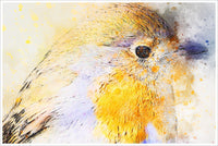 Sparrow Watercolor -  Accent Tile