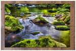 Mossy River Rocks -  Tile Mural