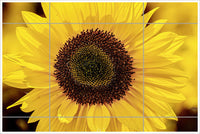 Sunflower -  Tile Mural
