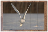 White Owl in Flight -  Tile Mural