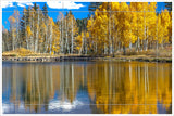 Autumn Trees River Reflection -  Tile Mural