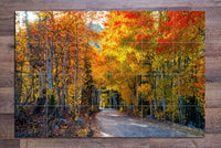 Autumn Road -  Tile Mural