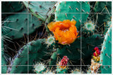 Cactus Flowers -  Tile Mural