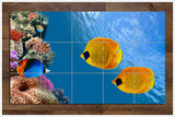 Coral Reef -  Tile Mural