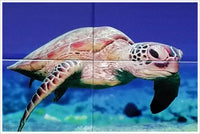 Sea Turtle and Coral -  Tile Mural