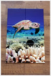 Sea Turtle and Coral -  Tile Mural