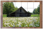 Dandelion Barn -  Tile Mural