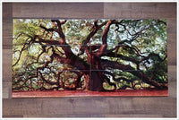 Elder Oak Tree -  Tile Mural