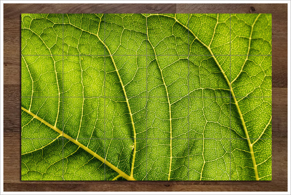 Abstract Leaf -  Tile Mural