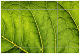 Abstract Leaf -  Tile Mural