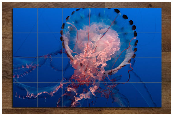 Pink Jellyfish 02 -  Tile Mural